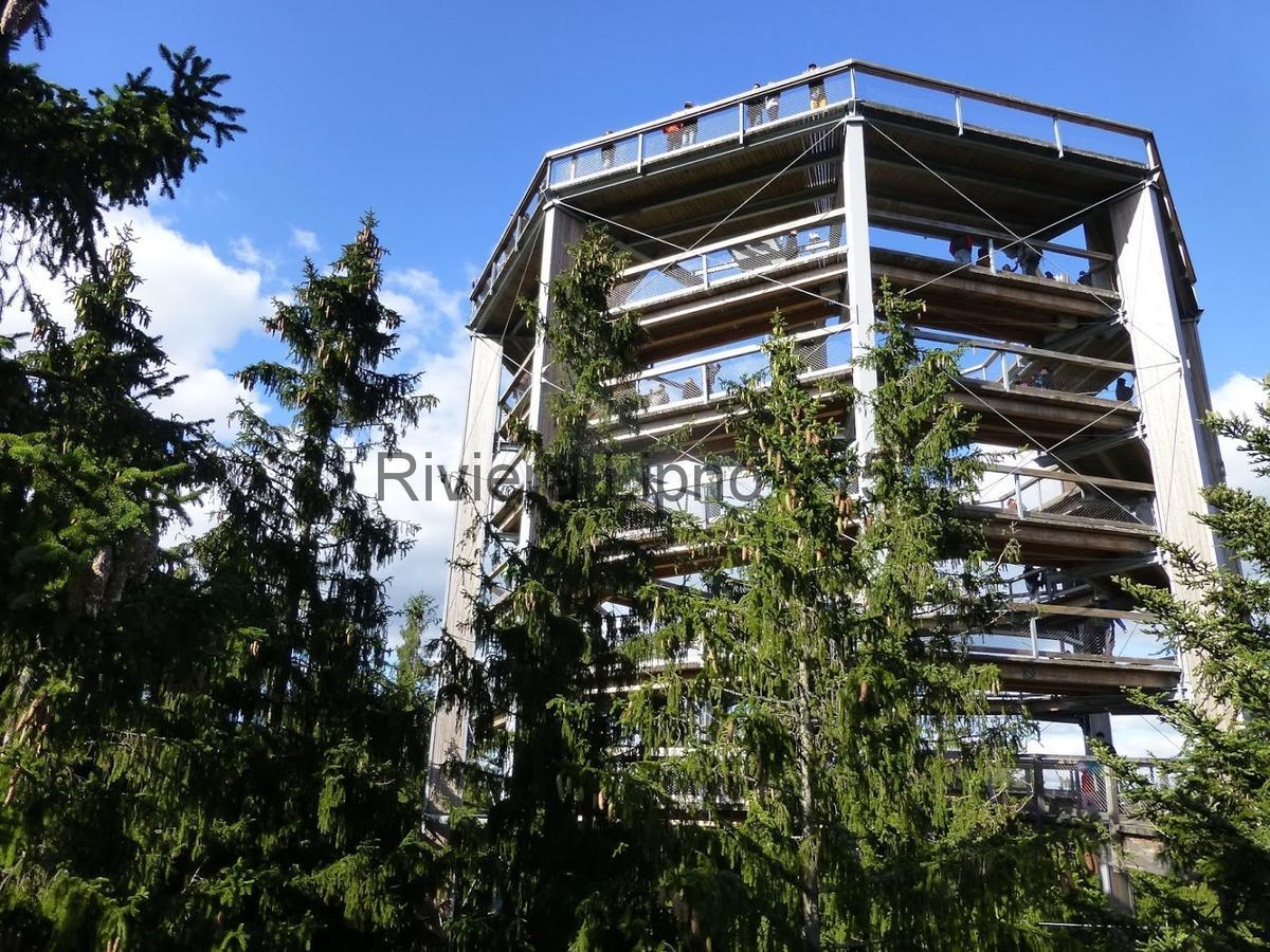 Апартаменты Riviera Lipno 415 Липно-над-Влтавой Экстерьер фото